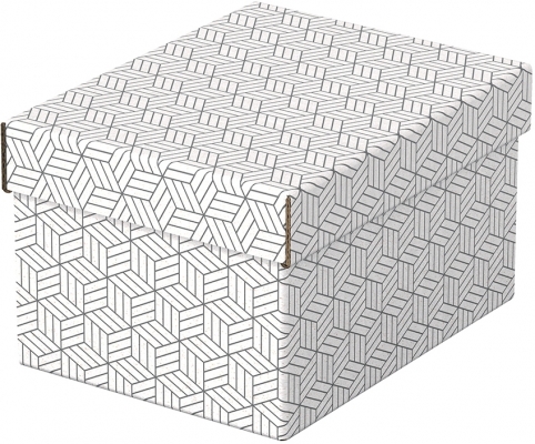 Cutie depozitare  Home Recycled, carton, 100% reciclat, certificare FSC, reciclabil, 25x20x15 cm, cu capac, 3 buc/set, alb, Esselte