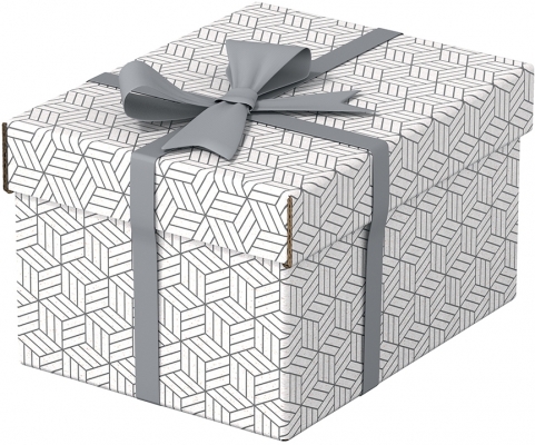 Cutie depozitare  Home Recycled, carton, 100% reciclat, certificare FSC, reciclabil, 25x20x15 cm, cu capac, 3 buc/set, alb, Esselte