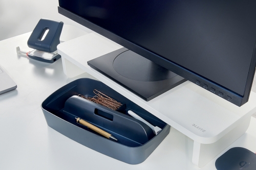 Stand pentru monitor Ergo, pentru diagonale de 24 inch, alb Leitz