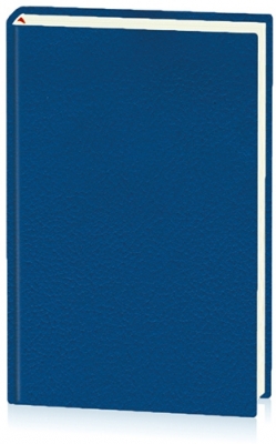 Agenda 2025 Basic, 20.5 cm, datata, coperta texturata Ego