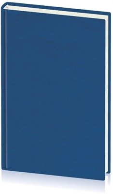 Agenda Domino, 20.5 cm, nedatata, Ego
