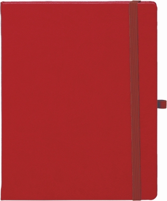 Agenda Notebook Pro 13 cm, nedatata, Ego