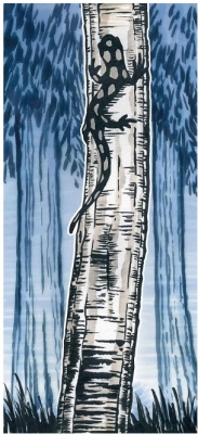 Marker caligrafic Pitt Artist Pen Cutie Studio 60 buc/set Faber-Castell