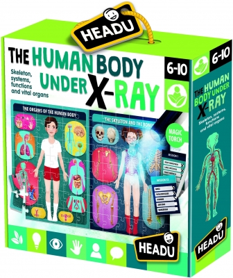 Puzzle Radiografia Corpului Uman Headu