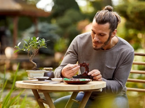 Bonsai 10281 LEGO Creator Expert 