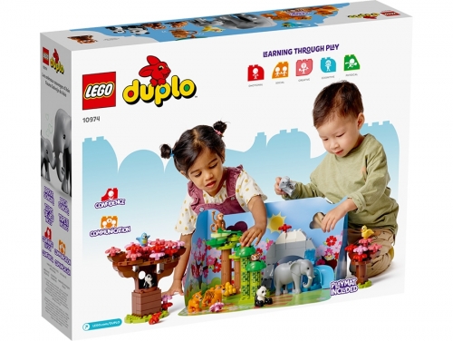 Animale din Asia 10974 LEGO DUPLO