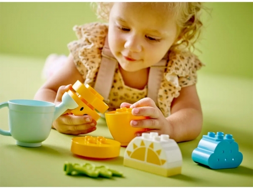 Kit de cultivare al morcovului 10981 LEGO DUPLO