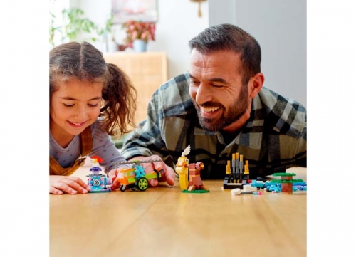 Caramizi si functii 11019 LEGO Classic 