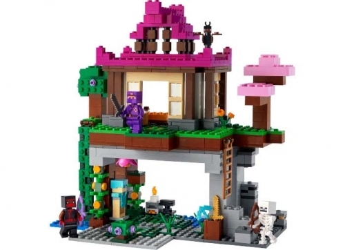Zona de antrenament 21183 LEGO Minecraft 
