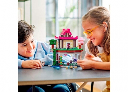 Zona de antrenament 21183 LEGO Minecraft 