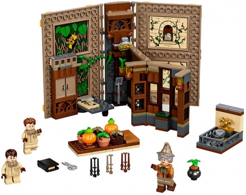 Ora de Ierbologie 76384 LEGO Harry Potter 