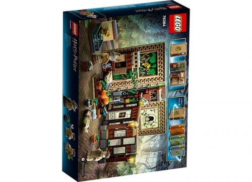 Ora de Ierbologie 76384 LEGO Harry Potter 
