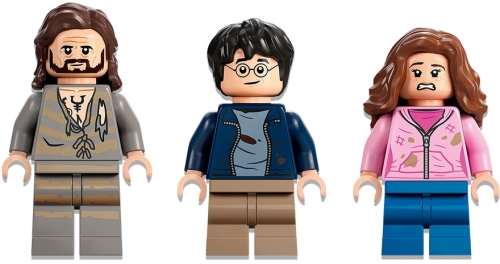 Salvarea lui Sirius 76401 LEGO Harry Potter