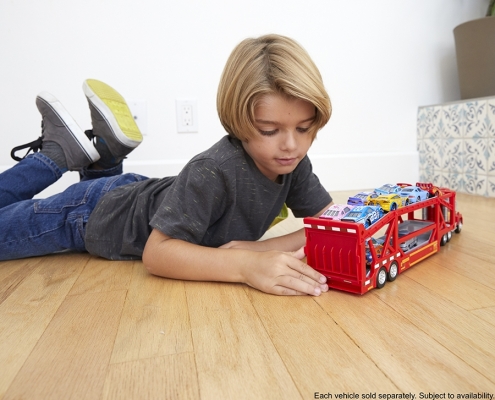 Transportator Cars