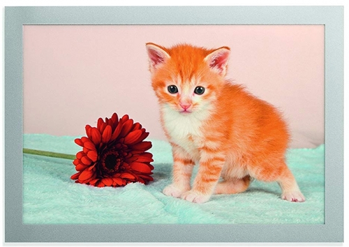 Rama foto magnetica autoadeziva 10 x 15 cm 2 buc/set Durable