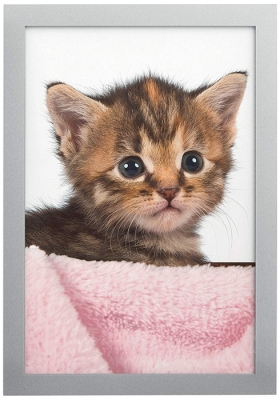 Rama foto magnetica autoadeziva 10 x 15 cm 2 buc/set Durable