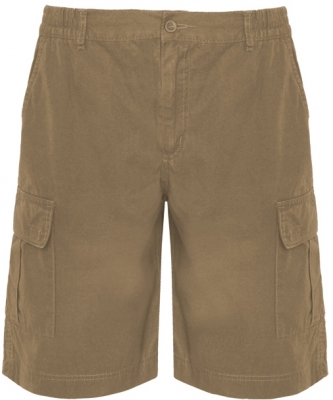 Bermude cu buzunare Armour, pentru barbati, Camel, Roly 