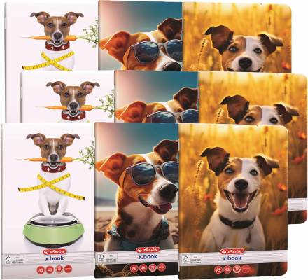 Caiet A5, 48 file, dictando, Cool Dog, 10 buc/set Herlitz