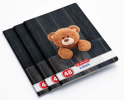 Caiet A5, 48 file, matematica, Teddy, 10 buc/set, Herlitz