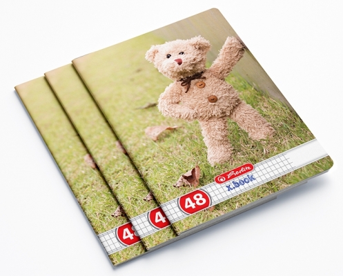 Caiet A5, 48 file, matematica, Teddy, 10 buc/set, Herlitz