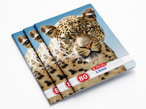Caiet A4, 80 file, dictando, Animals, 5 buc/set, Herlitz