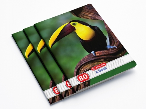 Caiet A4, 80 file, dictando, Animals, 5 buc/set, Herlitz