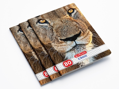 Caiet A4, 80 file, matematica, Animals, 5 buc/set, Herlitz