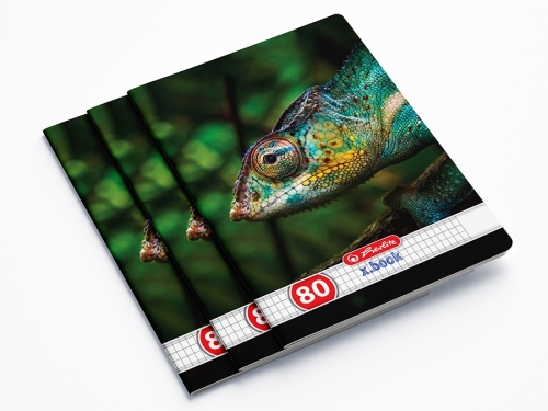 Caiet A4, 80 file, matematica, Animals, 5 buc/set, Herlitz