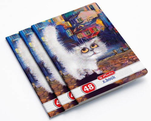 Caiet A5, 48 file, dictando, Crazy Cats, 10 buc/set, Herlitz