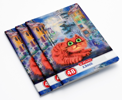 Caiet A5, 48 file, dictando, Crazy Cats, 10 buc/set, Herlitz