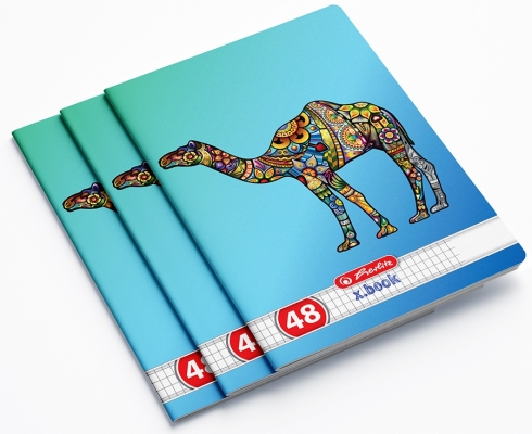 Caiet A5, 48 file, matematica, Zentangle, 10 buc/set, Herlitz