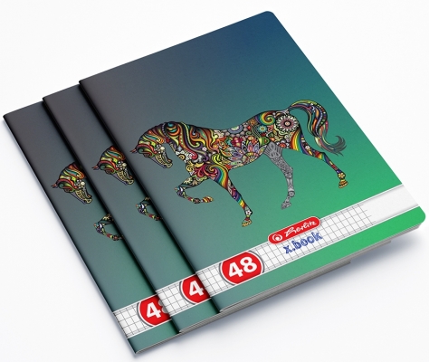 Caiet A5, 48 file, matematica, Zentangle, 10 buc/set, Herlitz