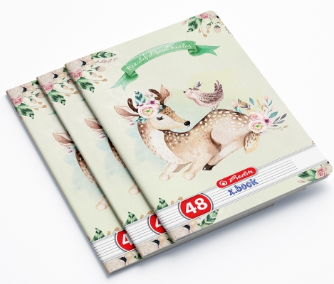 Caiet A5, 48 file, dictando, Enjoy, 10 buc/set, Herlitz
