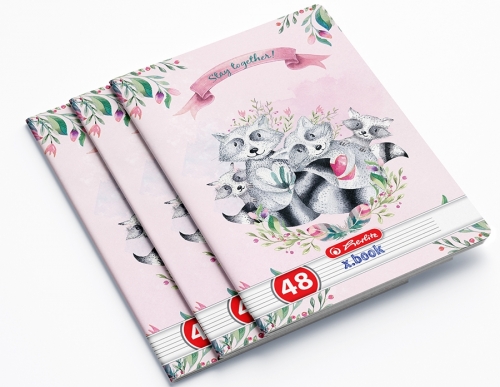 Caiet A5, 48 file, dictando, Enjoy, 10 buc/set, Herlitz