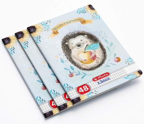 Caiet A5, 48 file, matematica, Enjoy, 10 buc/set, Herlitz