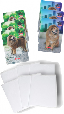 Pachet 10 caiete + coperti A5, 48 file, matematica, Boss Phantom, Herlitz