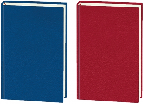 Agenda 2025 Basic, 20.5 cm, datata, coperta texturata Ego