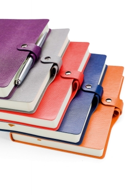 Agenda Corsica, 20.5 cm, nedatata, Ego