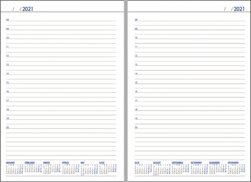 Agenda Domino, 20.5 cm, nedatata, Ego