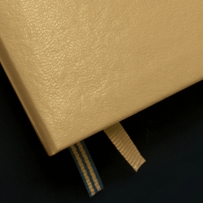 Caiet cu elastic A5, 125 file, punctat, Metallic Leuchtturm1917 