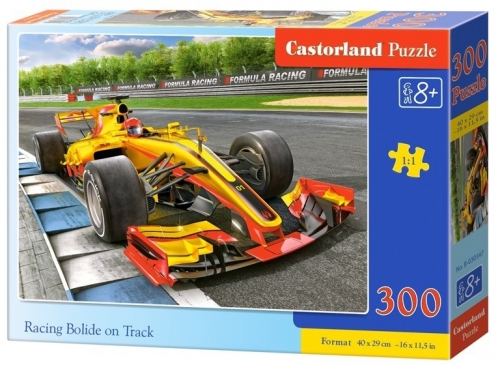 Puzzle 300 piese premium, diverse modele Castorland