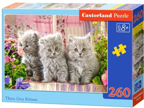 Puzzle 260 piese classic, diverse modele Castorland