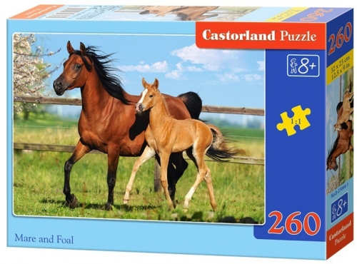 Puzzle 260 piese classic, diverse modele Castorland