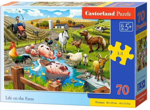 Puzzle, 70 piese premium, diverse modele, Castorland