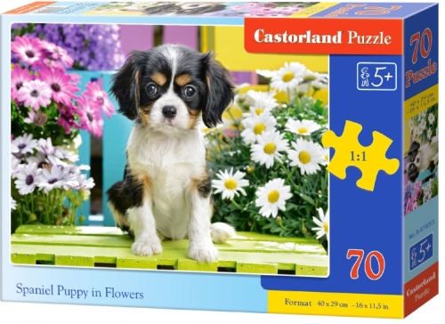 Puzzle, 70 piese premium, diverse modele, Castorland