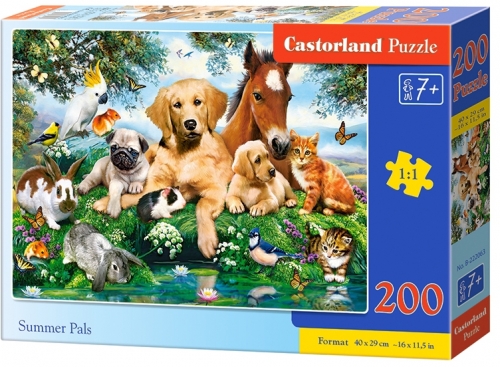 Puzzle 200 piese, diverse modele, premium, Castorland