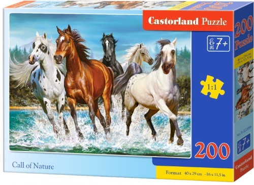 Puzzle 200 piese, diverse modele, premium, Castorland