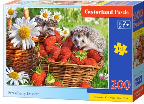 Puzzle 200 piese, diverse modele, premium, Castorland