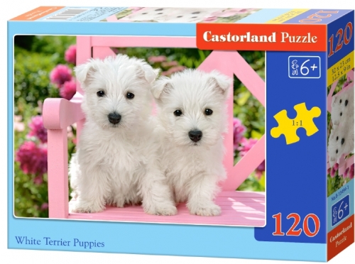 Puzzle 120 piese, diverse modele, Castorland