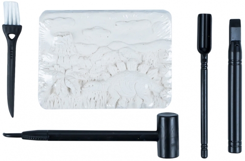 Set paleontologie Descopera fosile 